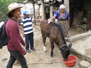 Plan Moo helping the elderly