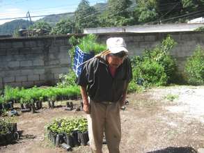 Ancianos involved in reforestation