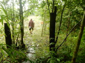 On the way to the villages