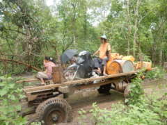 Transporting materials in the paddy road