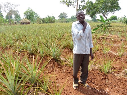 Help 256 Rural Ugandans to Plough Out Of Poverty