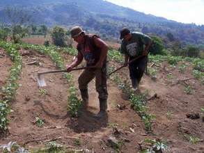 Tilling the fields