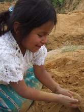 Planting