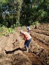 Regenerating the fields