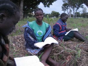 Students study in the shade