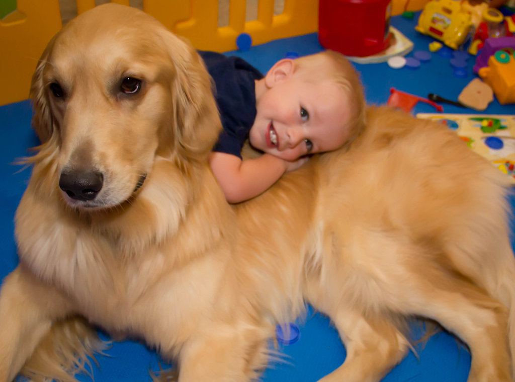 Seizure-Response Dog for Michael