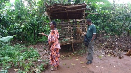 Women and Girl Empowerment Project in Wakiso (Ug)