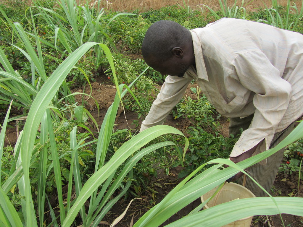 Connect young innovators with business in need!