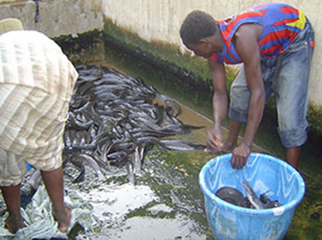 Connect young innovators with business in need!