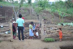 Land preparation
