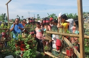 Typhoon Haiyan Bunk-houses Gardening Initiative