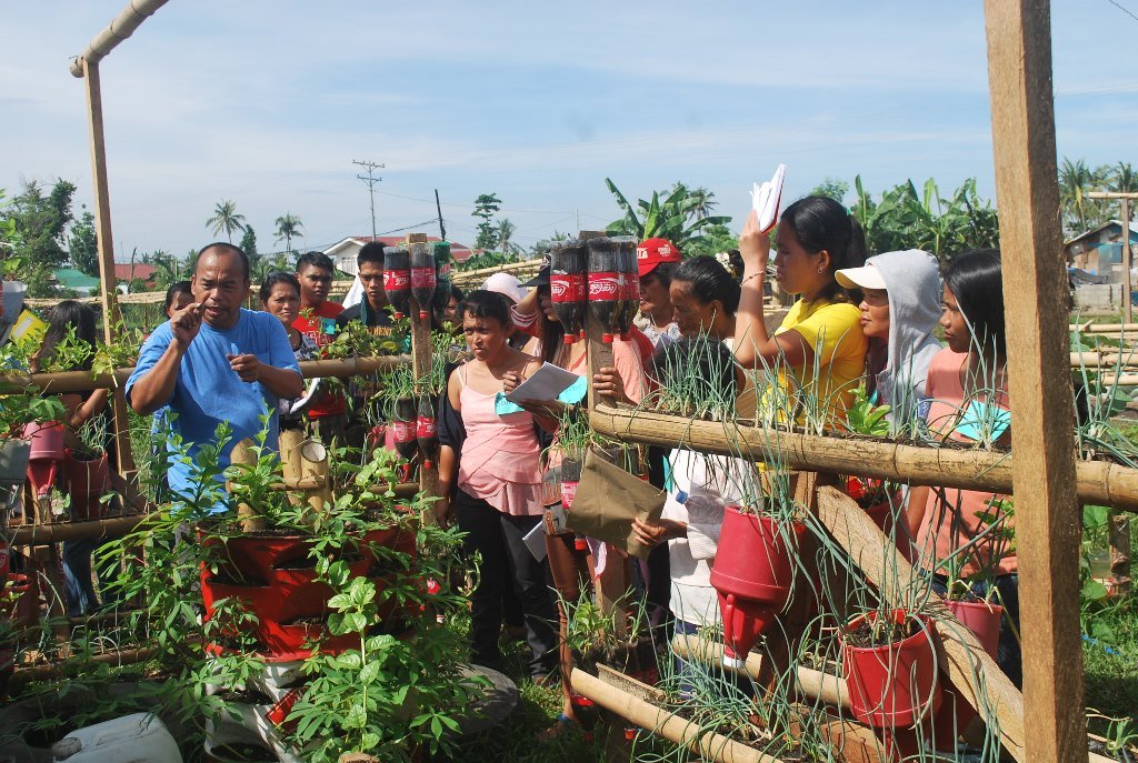 Typhoon Haiyan Bunk-houses Gardening Initiative