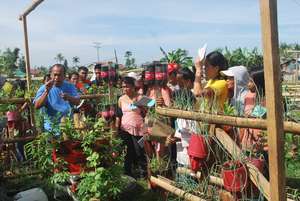 Typhoon Haiyan Bunk-houses Gardening Initiative