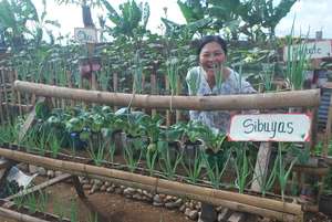 Ormoc City bunk-house