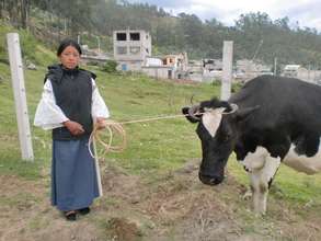 Plan Moo - investing in Ecuadorean education