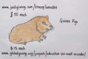 Buy a Guinea Pig!