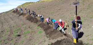 Community pipe laying