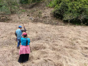 Plan Huerta