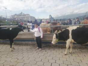 Plan Moo