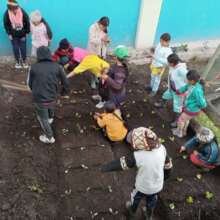 School vegetable garden