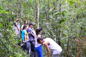 Young Eco-Leaders exploring the Rainforest!