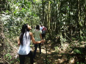 Exploring the forest