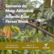 Atlantic Forest Week