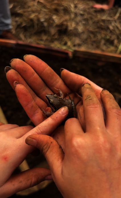 They're not afraid of frogs anymore!
