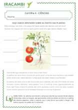 Our leaflet about naming the parts of a plant