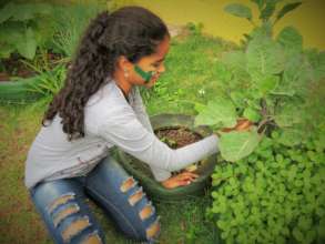 School garden