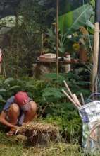 Studying rainforest soils