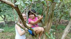 Clara, climbing the tree for the first time