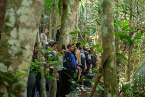 The high school group observing the trees