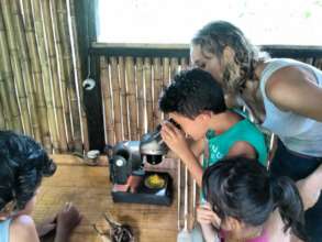 Students observing a moss