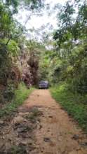 The road to rainforest adventure