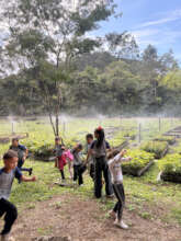 Learning through play in the tree nursery