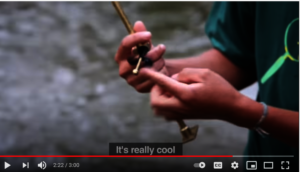 "It's really cool"