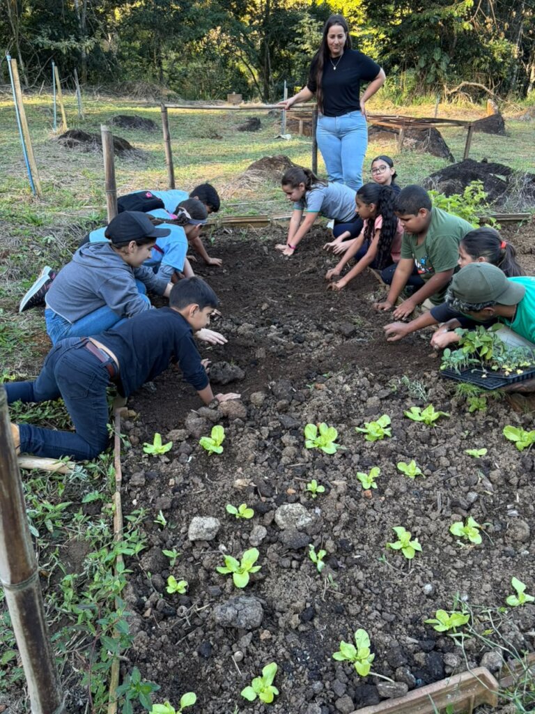 Planting