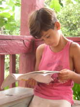 Rainforest education in "normal" times