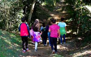 Walk through the Medicinal Plants Trail
