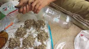 dried mix