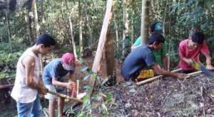 Forest science