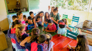 Demonstration of the several aspects of the forest