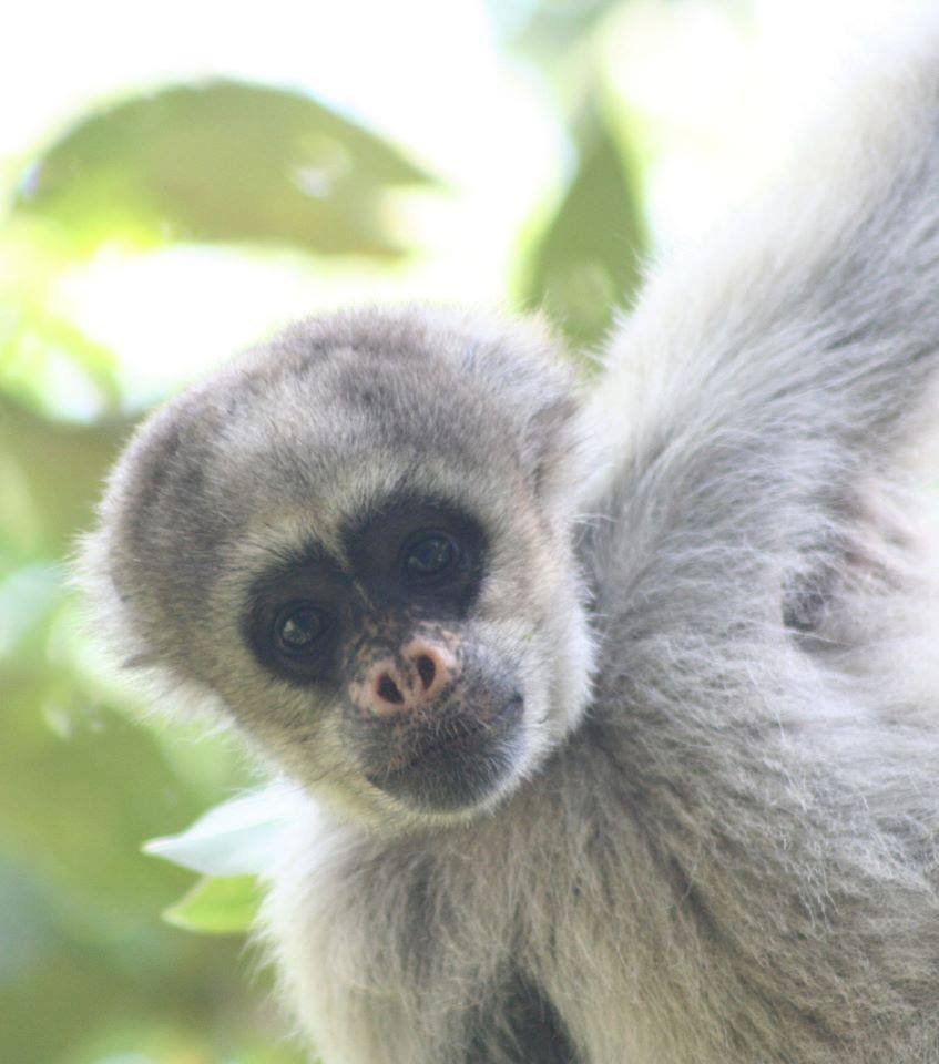 Young EcoLeaders of the Brazilian Rainforest