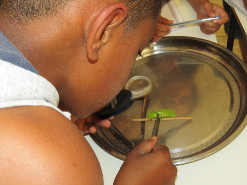 Young EcoLeaders of the Brazilian Rainforest