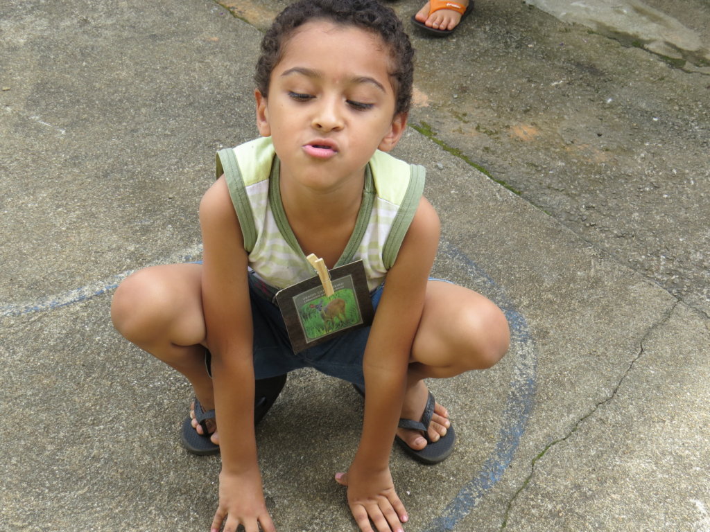 Young EcoLeaders of the Brazilian Rainforest