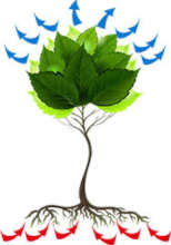 Phytoremediation - plants absorbing pollution