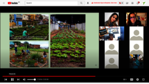 Plants for community wellbeing