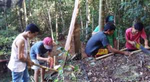 studying soils in the forest