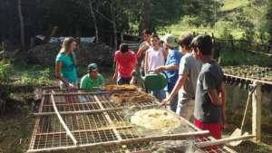 learning about filtration